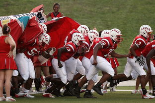 开云体育官网-76人球队文化墙正式揭幕展示历史荣誉，76人队图案